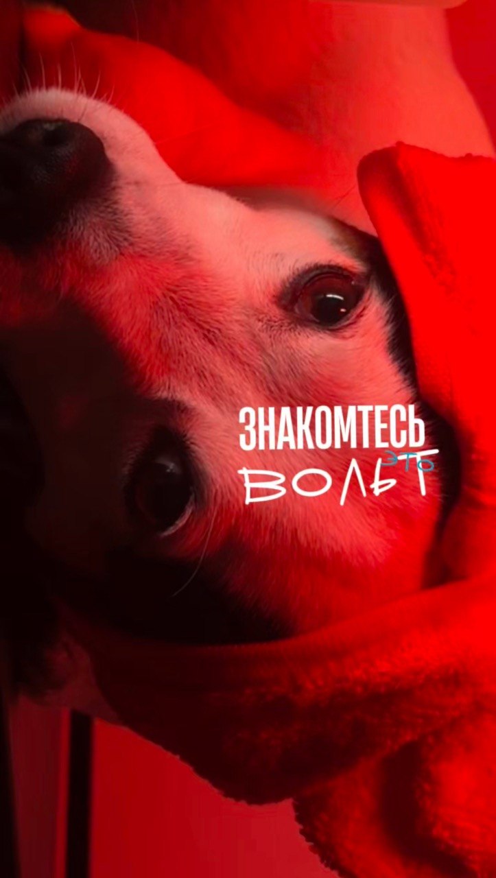 Вольт